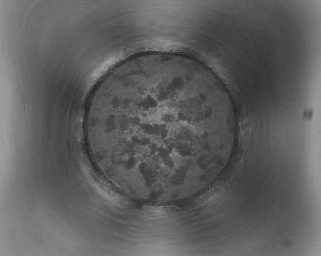 X0000111160679200906301401