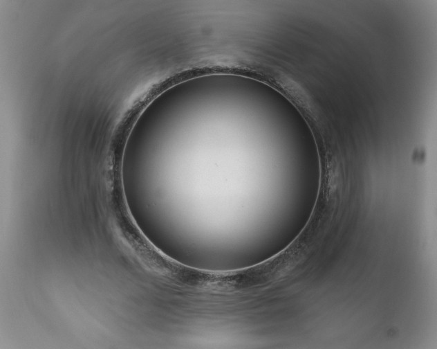 X0000111160680200906301401