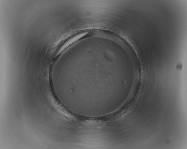 X0000111160681200906301401