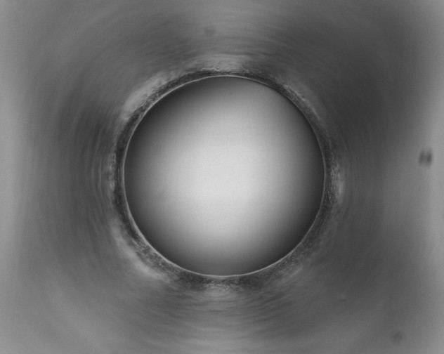 X0000111160682200906301401