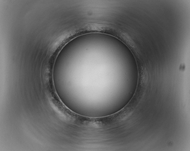X0000111160683200906301401