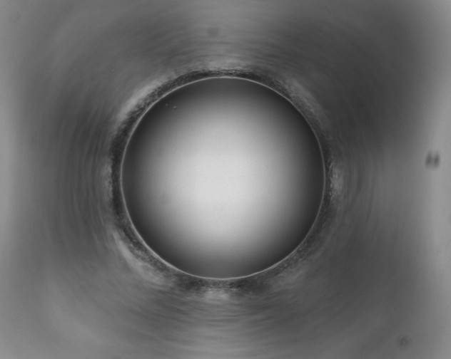 X0000111160684200906301401