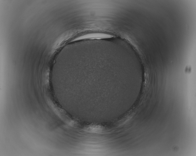 X0000111160685200906301401