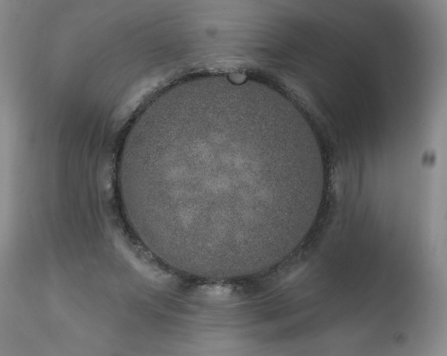 X0000111160687200906301401