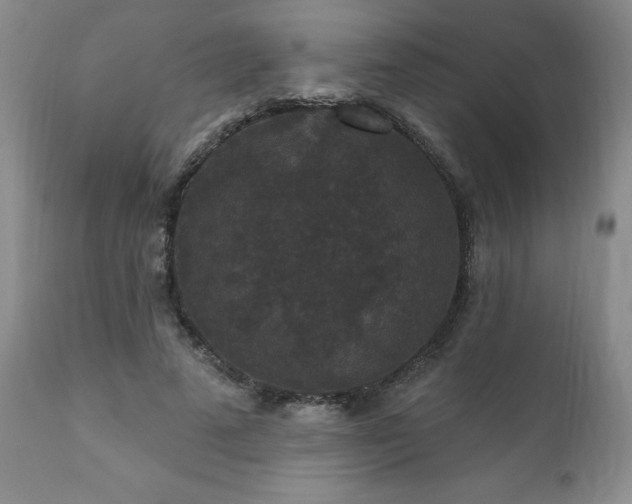 X0000111160689200906301401