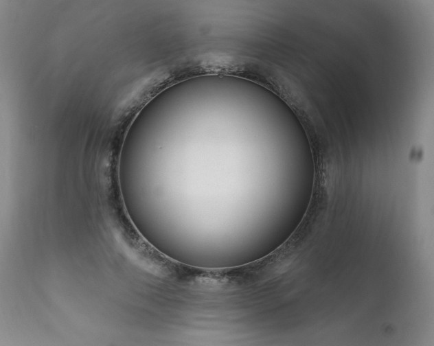 X0000111160690200906301401