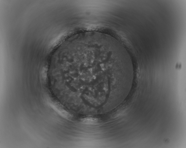X0000111160691200906301401