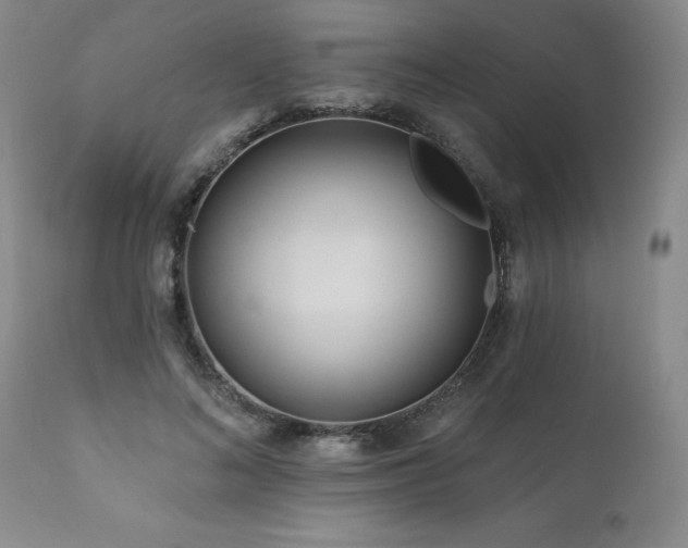 X0000111160692200906301401