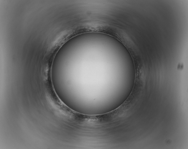 X0000111160694200906301401