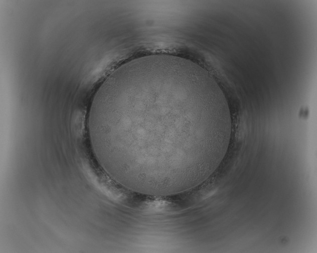 X0000111160695200906301401