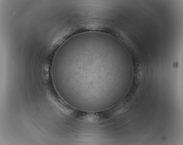 X0000111160696200906301401