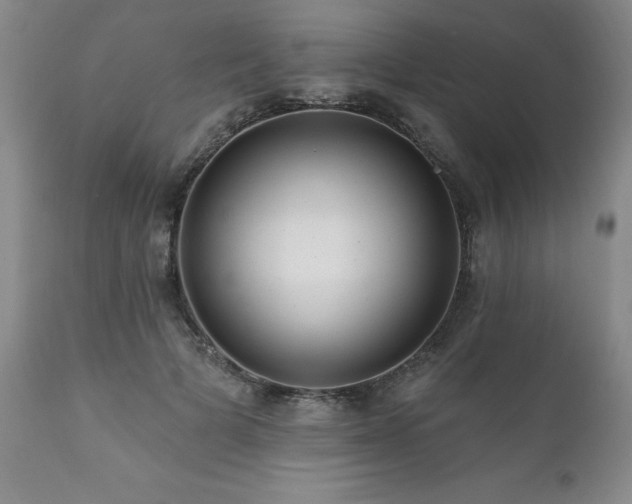 X0000111160697200906301401