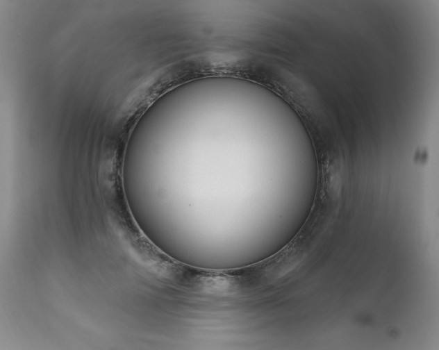X0000111160698200906301401