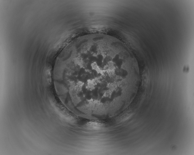 X0000111160699200906301401