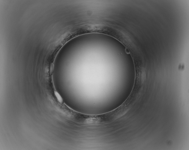 X0000111160700200906301400