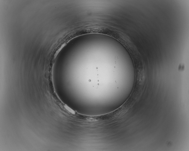 X0000111160701200906301400