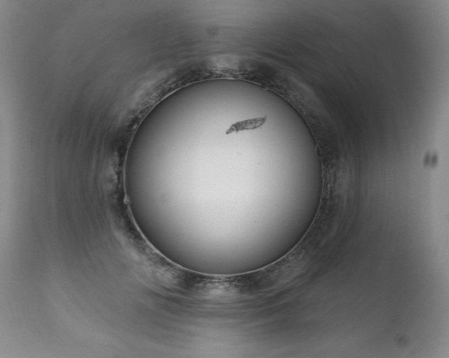 X0000111160702200906301400