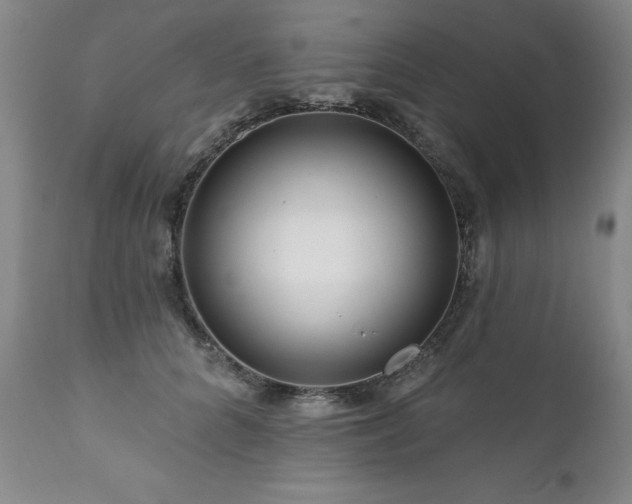 X0000111160704200906301400