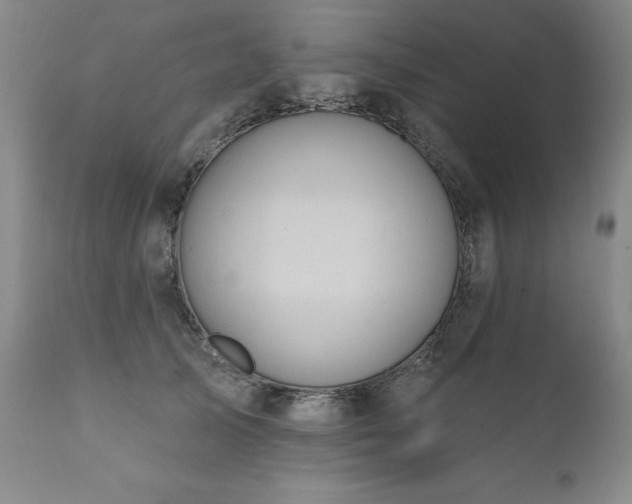 X0000111160705200906301400