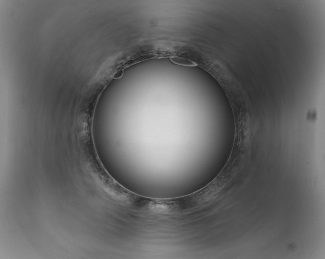 X0000111160706200906301400