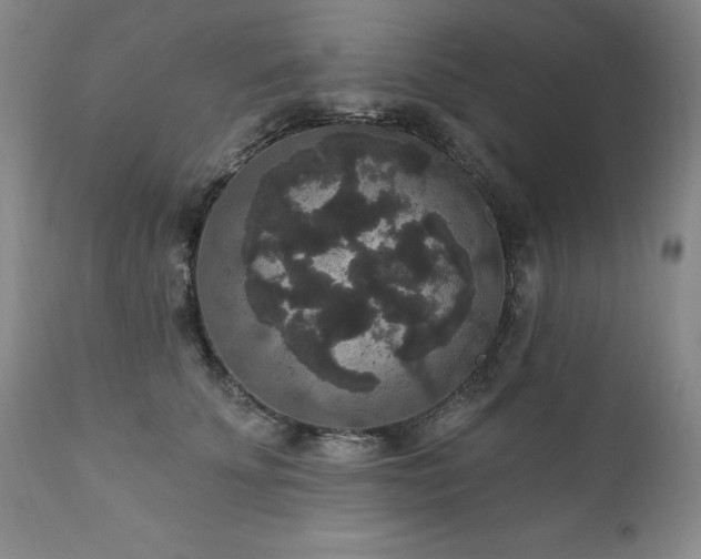 X0000111160707200906301400