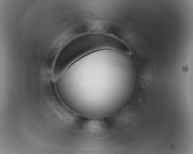 X0000111160708200906301400