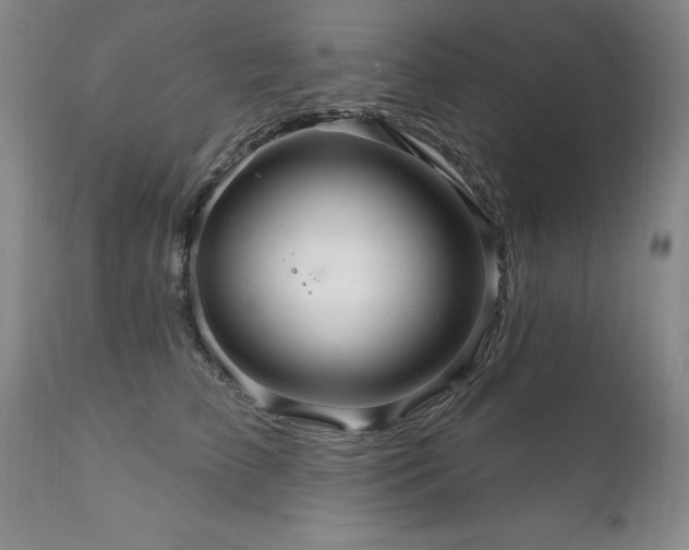 X0000111160709200906301400