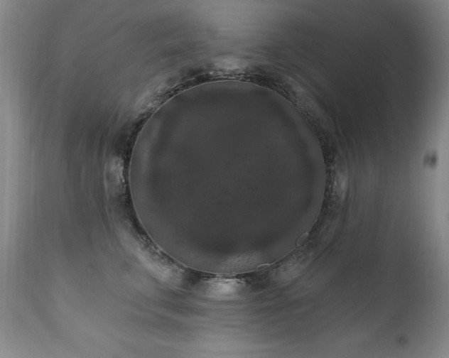 X0000111160711200906301400
