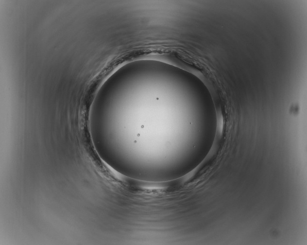 X0000111160712200906301400