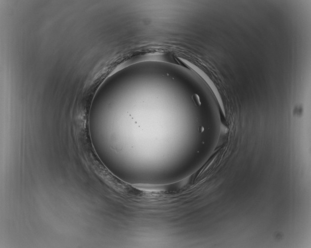 X0000111160713200906301400