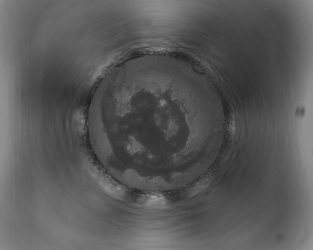 X0000111160715200906301400