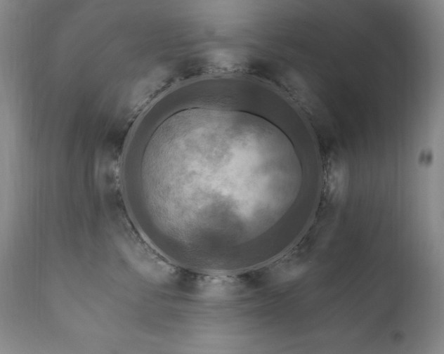 X0000111160716200906301400
