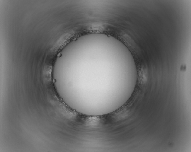 X0000111160717200906301400