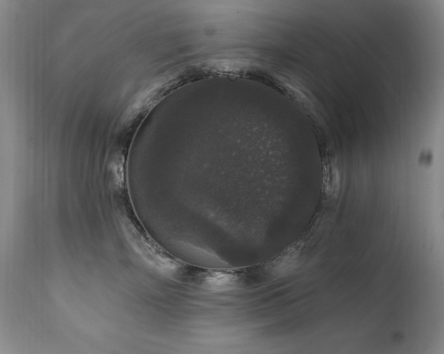 X0000111160718200906301400