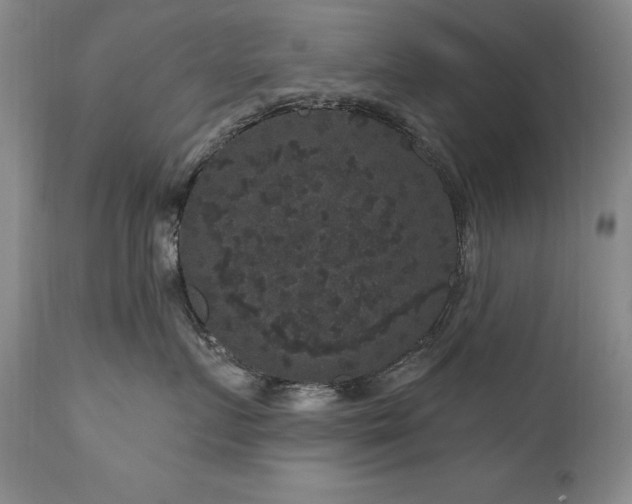 X0000111160719200906301400