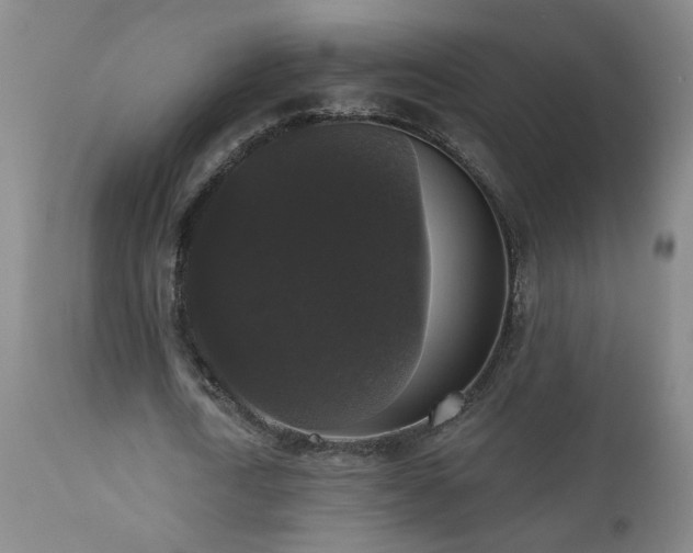 X0000111160722200906301359
