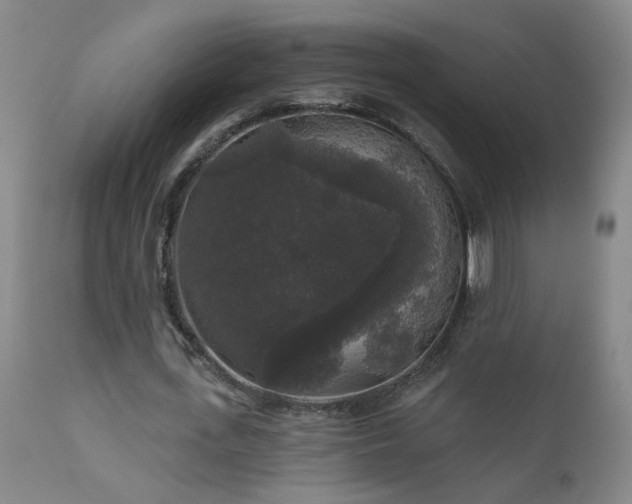 X0000111160723200906301359