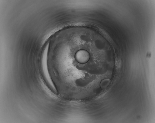 X0000111160725200906301400