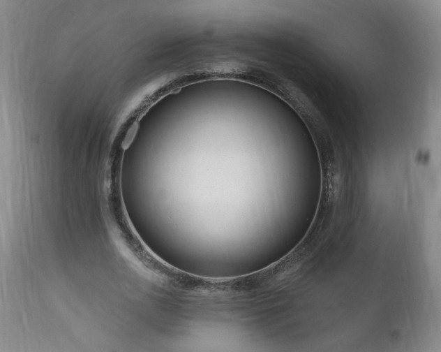 X0000111160726200906301400