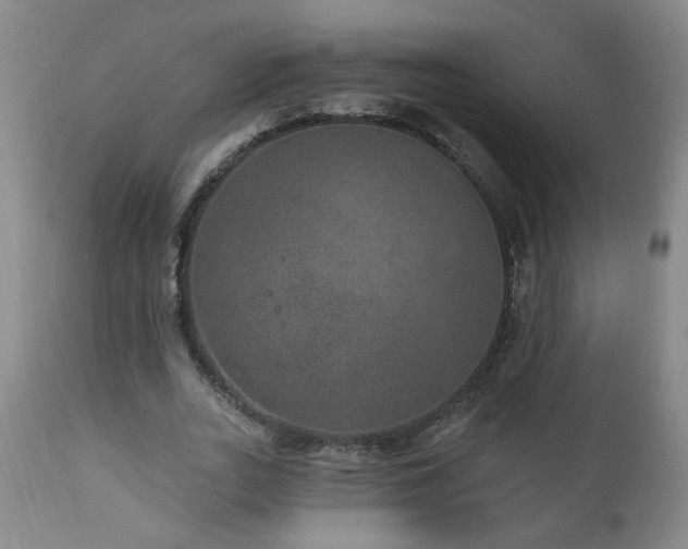 X0000111160727200906301400