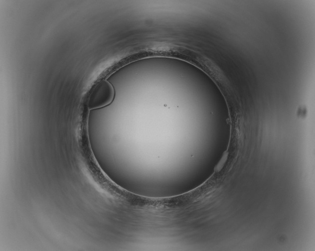 X0000111160728200906301400