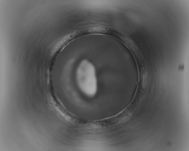 X0000111160729200906301400