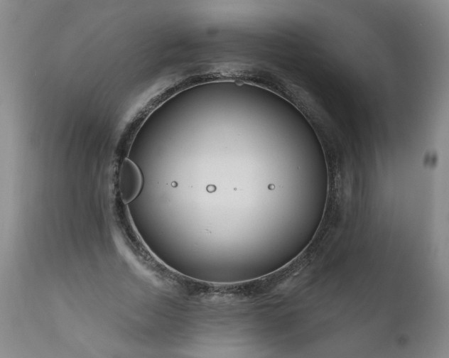 X0000111160730200906301400