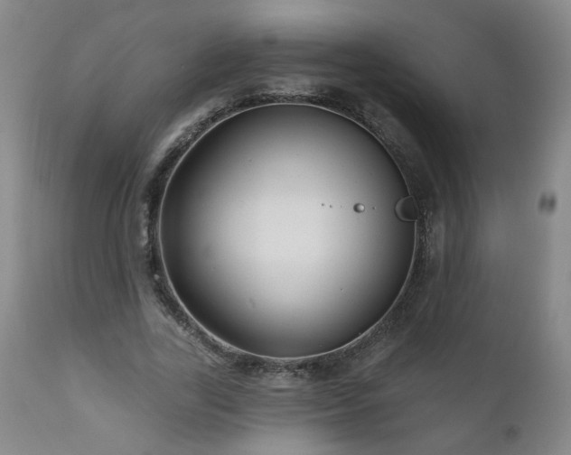 X0000111160731200906301400