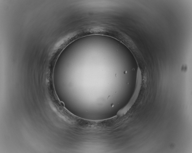 X0000111160732200906301400