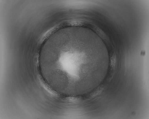 X0000111160733200906301400