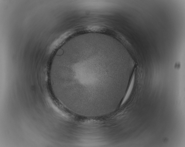 X0000111160734200906301400