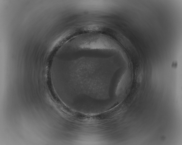 X0000111160735200906301400