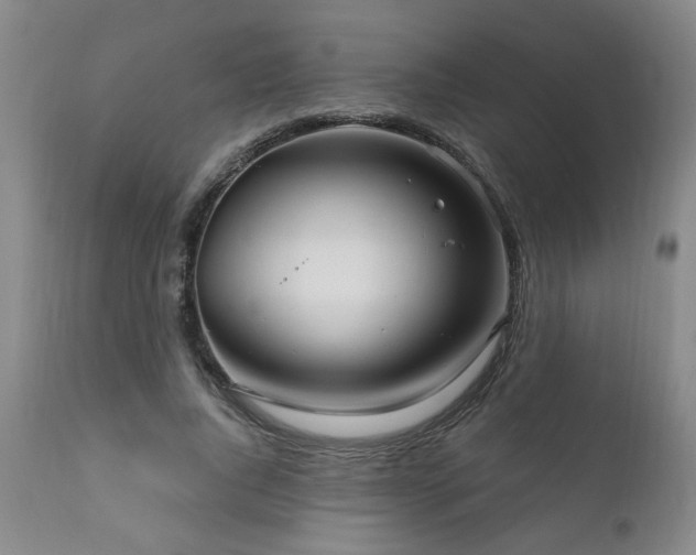 X0000111160736200906301400