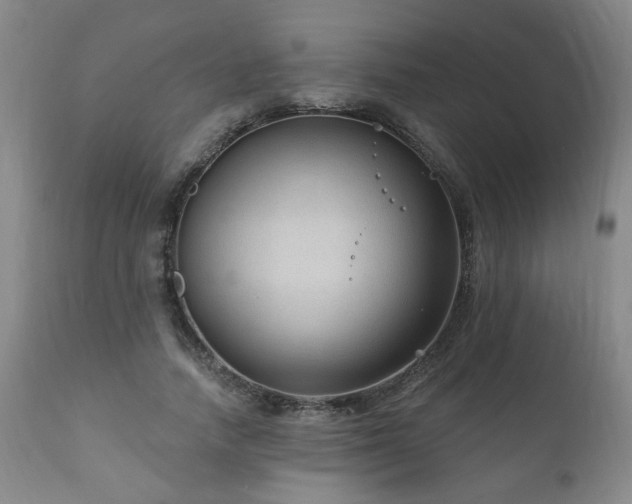 X0000111160738200906301400